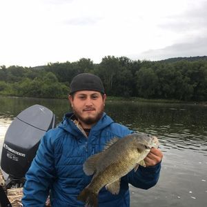 Meet your Posher, Justin